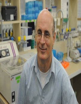 Professor Rechavi Gideon, M.D. Ph.D